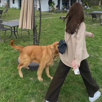 青青河畔草